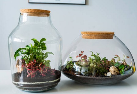 Planten terrarium zo maak je het zelf.